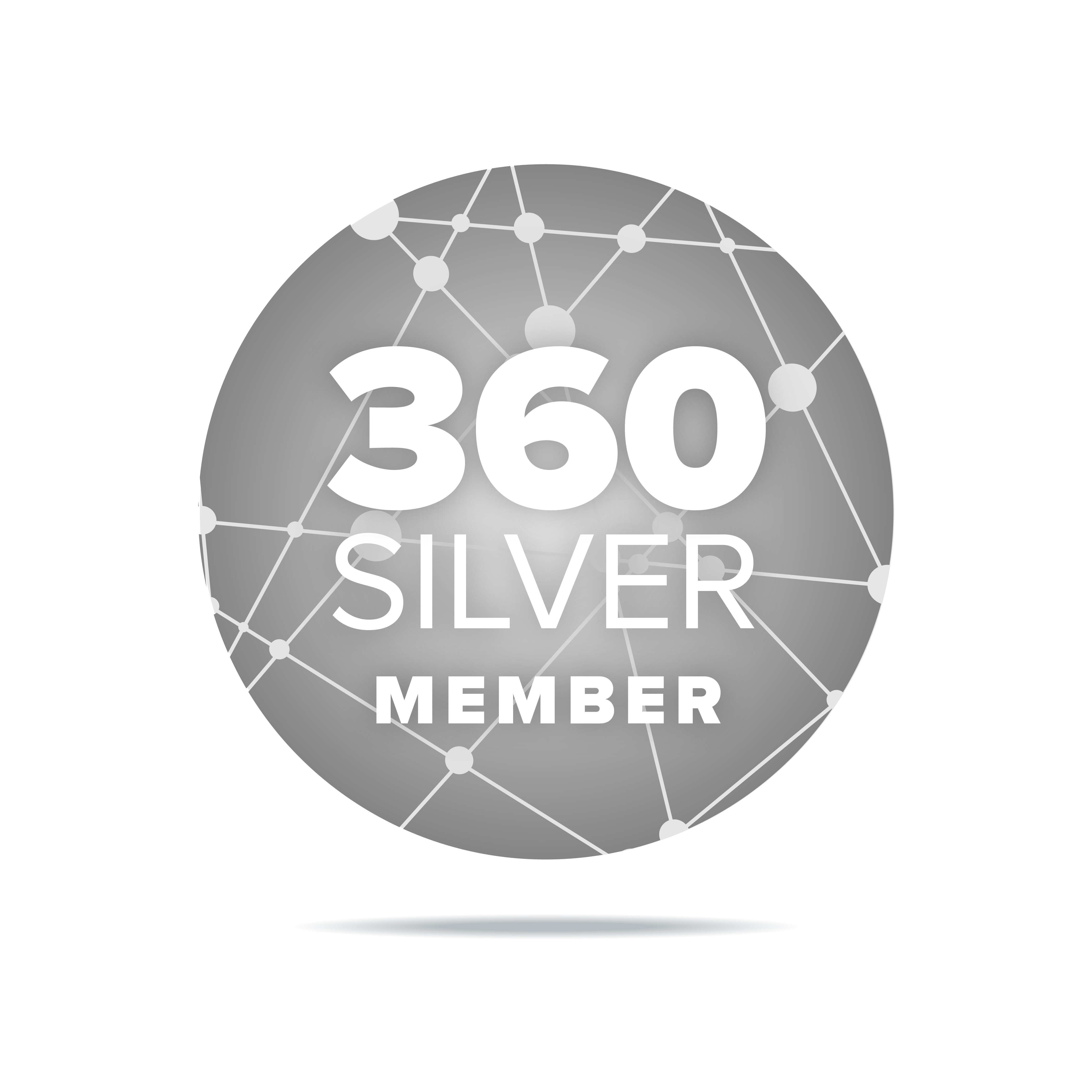 360 Silver Icon