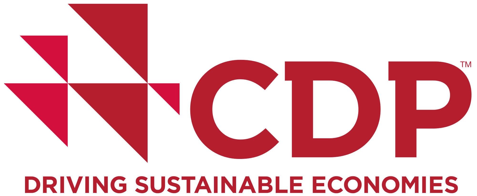 Disclosure Project Logo